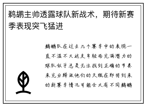 鹈鹕主帅透露球队新战术，期待新赛季表现突飞猛进