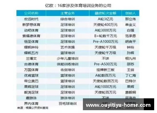 欧亿体育官网精准分析：打造完美的球员介绍表 - 副本